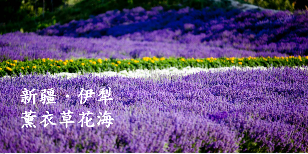 CIELOBLU基路伯 | 祖國之美，都在大自然的萬千色彩中(圖2)