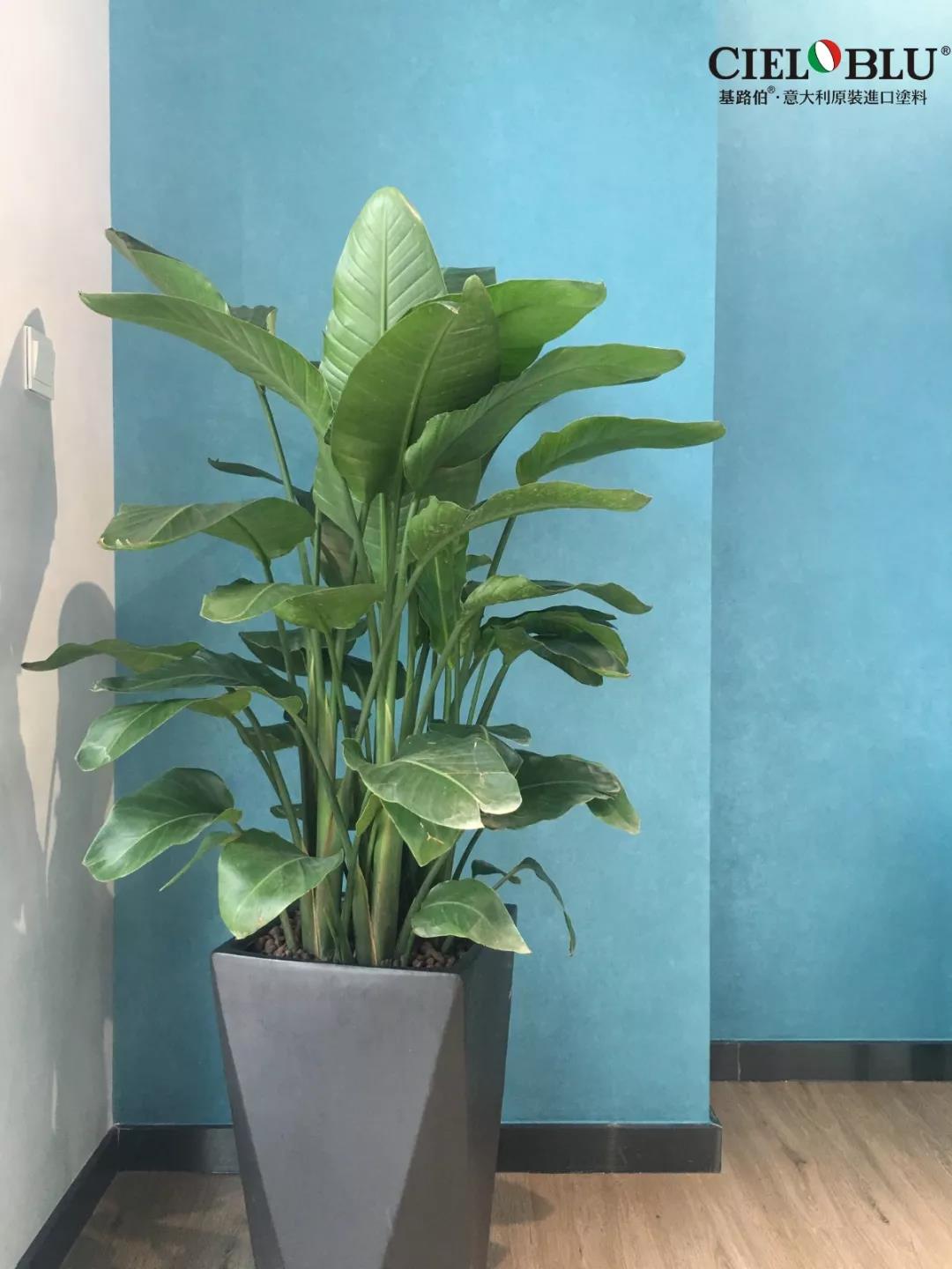 CIELOBLU基路伯佛山運(yùn)營中心牽手品牌一周年，涂裝體驗再升級！(圖18)